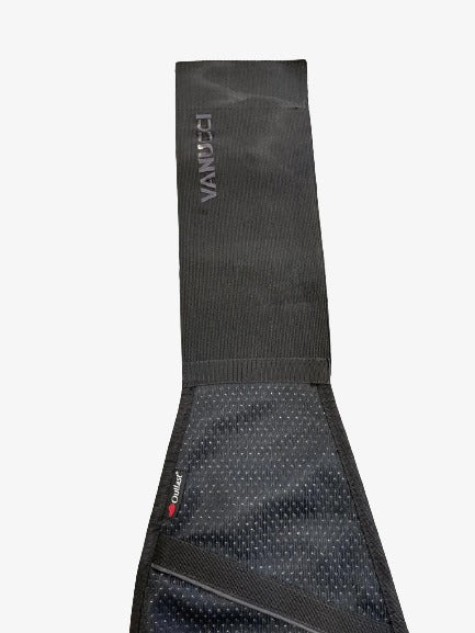 Ceinture Vanucci réf.00573