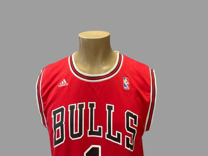 Camiseta NBA Nike Chigaco Bulls Ref.01134